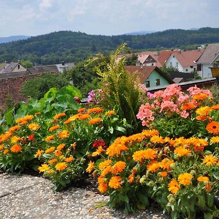 Gasthof Adler Guettingen Guttingen Bagian luar foto