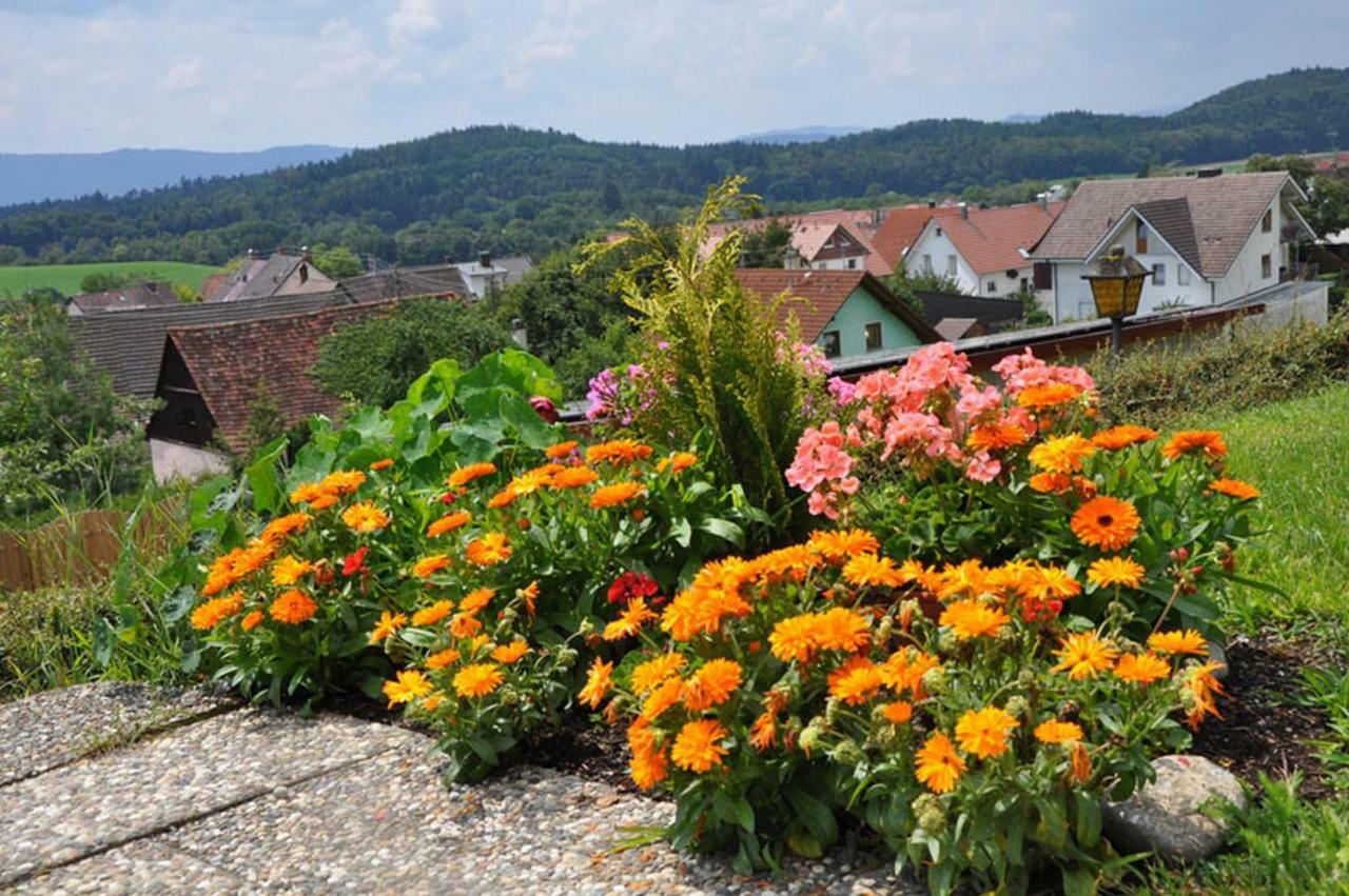 Gasthof Adler Guettingen Guttingen Bagian luar foto
